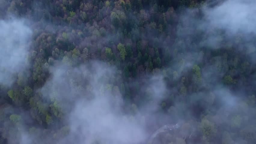 Aerial top down tilt view of forest partially covered by fog