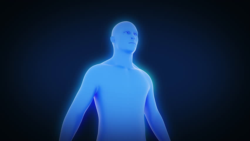 Human body pain.3d blue silhouette of man. Anatomy of a man showing half a body. Ideal for meditation, clairvoyance, mental power. Can be used as explanation in medical presentations, videos, projects Royalty-Free Stock Footage #1100756507