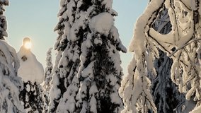Video shot of Valtavaara one of the highest Ruka hills in winter in Lapland. Ice hut for hikers. Frozen trees with the most extravagant shapes. Winter sunset. Ski slopes and snowshoeing in Ruka.