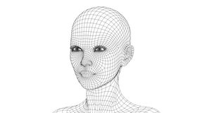 Portrait of a woman on a white background. The 3d frame of a female head is spinning and overgrown with skin. . 3D Illustration