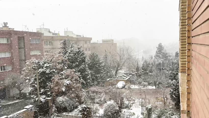 pine forest in the city in winter snow heavy snowfall in urban area in Tehran Iran brick architectural design street light parking cars covered in cold desert climate in middle east peole living safe
