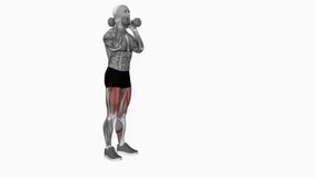 Dumbbell Front Rack Lunge fitness exercise workout animation male muscle highlight demonstration at 4K resolution 60 fps crisp quality for websites, apps, blogs, social media etc.