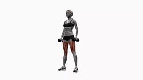 Dumbbell Side Lunge Alternating fitness exercise workout animation female muscle highlight demonstration at 4K resolution 60 fps crisp quality for websites, apps, blogs, social media etc.