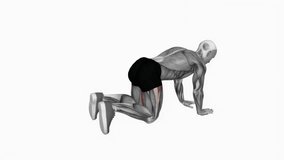 Bent Knee Back to Side Kick fitness exercise workout animation male muscle highlight demonstration at 4K resolution 60 fps crisp quality for websites, apps, blogs, social media etc.