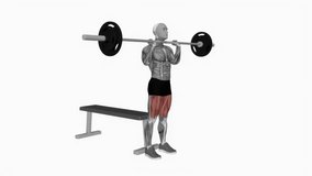 barbell front chest bench squat fitness exercise workout animation male muscle highlight demonstration at 4K resolution 60 fps crisp quality for websites, apps, blogs, social media etc.