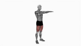 Bodyweight Pulse Squat fitness exercise workout animation male muscle highlight demonstration at 4K resolution 60 fps crisp quality for websites, apps, blogs, social media etc.