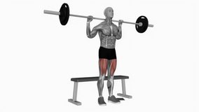 Barbell bench squats fitness exercise workout animation male muscle highlight demonstration at 4K resolution 60 fps crisp quality for websites, apps, blogs, social media etc.