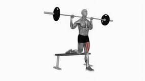 Barbell single leg split squat fitness exercise workout animation male muscle highlight demonstration at 4K resolution 60 fps crisp quality for websites, apps, blogs, social media etc.