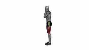 lunge reverse with resistance band fitness exercise workout animation male muscle highlight demonstration at 4K resolution 60 fps crisp quality for websites, apps, blogs, social media etc.