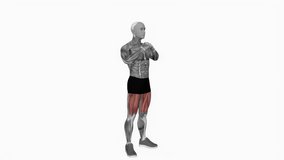 Bodyweight Pulse Squat arms to chest fitness exercise workout animation male muscle highlight demonstration at 4K resolution 60 fps crisp quality for websites, apps, blogs, social media etc.