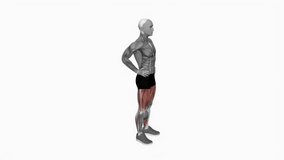 Bodyweight Rear Lunge fitness exercise workout animation male muscle highlight demonstration at 4K resolution 60 fps crisp quality for websites, apps, blogs, social media etc.