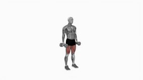Dumbbell Jumping Squat fitness exercise workout animation male muscle highlight demonstration at 4K resolution 60 fps crisp quality for websites, apps, blogs, social media etc.