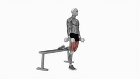 Dumbbell Single Leg Split Squat fitness exercise workout animation male muscle highlight demonstration at 4K resolution 60 fps crisp quality for websites, apps, blogs, social media etc.