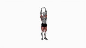 Clap Curtsy Squat fitness exercise workout animation male muscle highlight demonstration at 4K resolution 60 fps crisp quality for websites, apps, blogs, social media etc.
