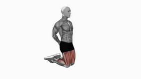 Bodyweight kneeling sissy squat fitness exercise workout animation male muscle highlight demonstration at 4K resolution 60 fps crisp quality for websites, apps, blogs, social media etc.