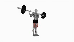 Barbell lunges fitness exercise workout animation male muscle highlight demonstration at 4K resolution 60 fps crisp quality for websites, apps, blogs, social media etc.