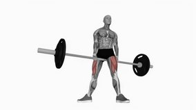 Barbell jefferson squat fitness exercise workout animation male muscle highlight demonstration at 4K resolution 60 fps crisp quality for websites, apps, blogs, social media etc.