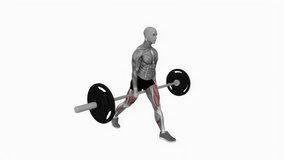 Barbell jefferson split squat fitness exercise workout animation male muscle highlight demonstration at 4K resolution 60 fps crisp quality for websites, apps, blogs, social media etc.