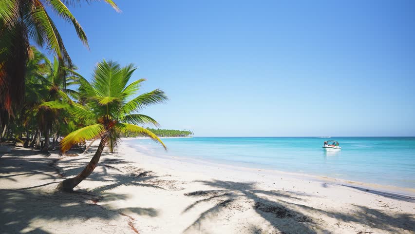 Dominican island of Saona with a snow-white palm beach on a sunny morning. White boat on the blue waves of the Caribbean Sea. Landscape of the sea coast with a bright palm tree against the blue sky. | Shutterstock HD Video #1100788597