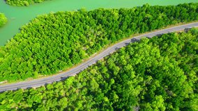 Aerial view over asphalt paved road in dense mangrove forest, natural ecosystem at tropical rainforest in Thailand. nature concept. Amazing high quality stock video. natural green background video. 
