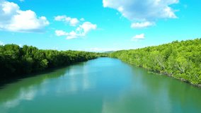 A river flows through lush mangrove forests, with majestic mountains rising in the distance and a clear blue sky above, captured from a drone's bird's eye view. Stunning stock video footage. 4K
