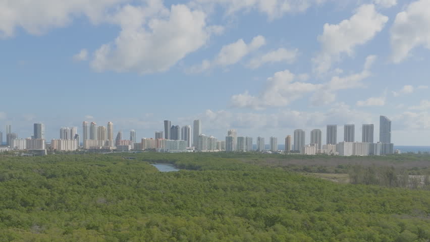 sunny day in miami beach showing green landscape and blue water with buildings in background
