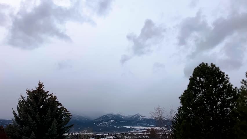 Close up shot of a dog catching frisbee in the air. Slow motion. Cinematic. Australian Shepherd.