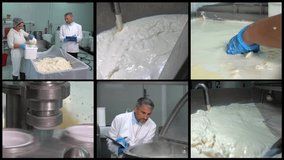 Dairy Processing Plant - Multi Screen Video. Milk Pasteurization in Milk Factory. Dairy Plant Food Safety. Dairy Products Manufacturing Plant. Dairy Process Engineer Writing on Clipboard. Chessemaking