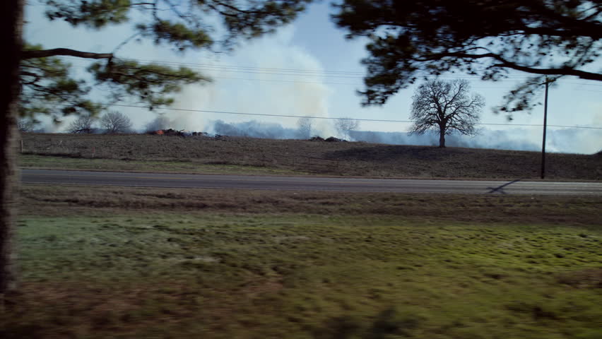 One tree on fire. Seasonal burning grass in Texas. Agriculture system updates grass. Huge smoke from burning grass 