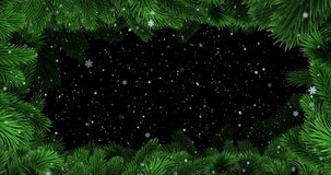 Animation of falling white snowflakes with black background and christmas tree border. Christmas, winter, festivity, tradition and celebration concept digitally generated video.