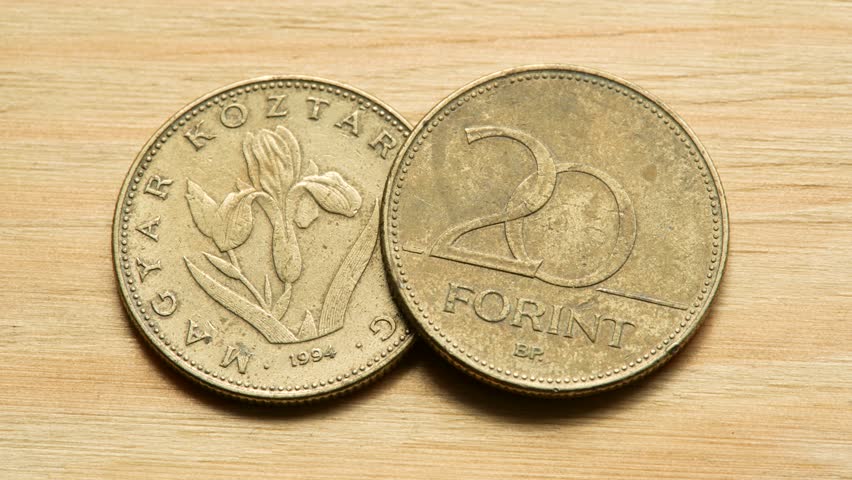 20 Hungarian Forints two twenty Forint coins, side and reverse, object macro, extreme closeup, detail, nobody. Hungary, Hungarian currency, finances economy. World currencies concept, no people