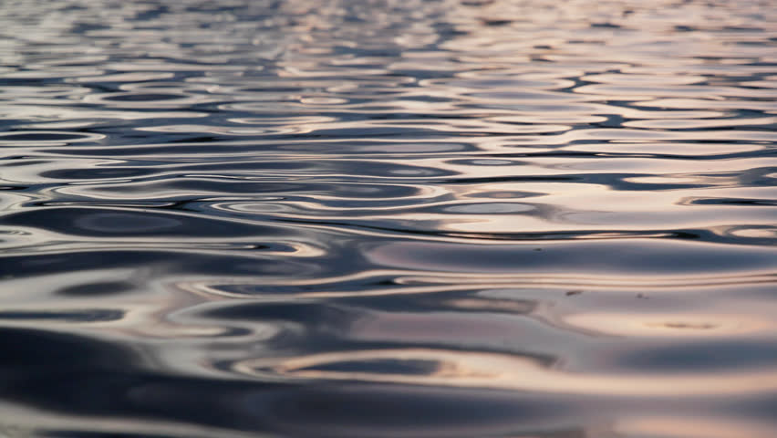 Slow Motion Serene Water Rippling Scene, Motion in Lake, Close-Up
