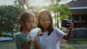 Two asian girls taking a picture and playing with baby bunny. Sister siblings holding a little rabbit Holland lop on hand and using smartphone selfie together with fun in the yard at the sunset time.