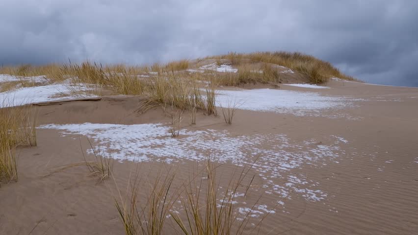 snowstorm in winter in the desert. sand dunes Wydma Lacka in Slowinski National Park. Leba, Poland, Europe