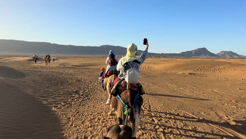 Tourists riding camels and taking selfies on phone in Sahara Desert Royalty-Free Stock Footage #1100852997