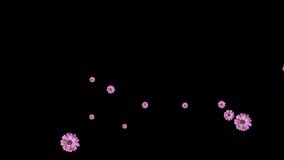 Loop animation of beautiful flower transparent background with an alpha channel.