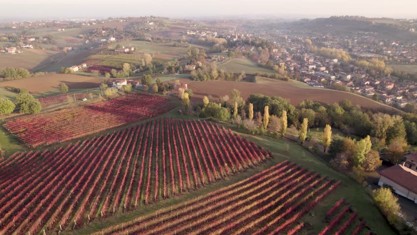 4K aerial view among vineyards fields toward Castelvetro di Modena, Italy Royalty-Free Stock Footage #1100870063
