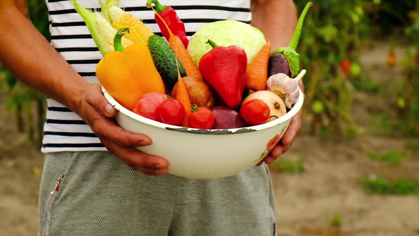 Male farmer with a harvest of vegetables. Selective focus. Nature. | Shutterstock HD Video #1100872283
