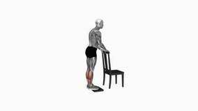 Calf Raise from Deficit with Chair Supported fitness exercise workout animation male muscle highlight demonstration at 4K resolution 60 fps crisp quality for websites, apps, blogs, social media etc.