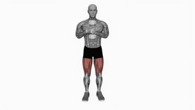 Dumbbell Side Lunge Single Leg fitness exercise workout animation male muscle highlight demonstration at 4K resolution 60 fps crisp quality for websites, apps, blogs, social media etc.