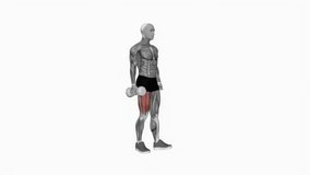 Dumbbell Single Leg Squat fitness exercise workout animation male muscle highlight demonstration at 4K resolution 60 fps crisp quality for websites, apps, blogs, social media etc.