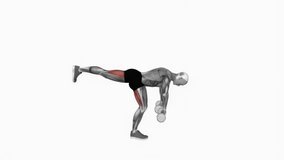 Dumbbell Single Leg Deadlift fitness exercise workout animation male muscle highlight demonstration at 4K resolution 60 fps crisp quality for websites, apps, blogs, social media etc.