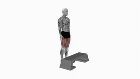 Bodyweight Step-up on Step box fitness exercise workout animation male muscle highlight demonstration at 4K resolution 60 fps crisp quality for websites, apps, blogs, social media etc.