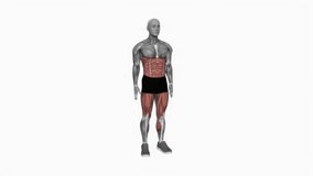 Bodyweight Squat to Side to Front Leg fitness exercise workout animation male muscle highlight demonstration at 4K resolution 60 fps crisp quality for websites, apps, blogs, social media etc.
