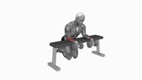 Dumbbell Over Bench Wrist Curl fitness exercise workout animation male muscle highlight demonstration at 4K resolution 60 fps crisp quality for websites, apps, blogs, social media etc.