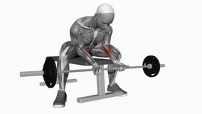 barbell wrist curl wide legs fitness exercise workout animation male muscle highlight demonstration at 4K resolution 60 fps crisp quality for websites, apps, blogs, social media etc.