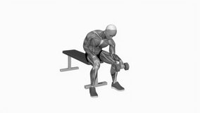 Dumbbell One arm Revers Wrist Curl fitness exercise workout animation male muscle highlight demonstration at 4K resolution 60 fps crisp quality for websites, apps, blogs, social media etc.