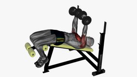 dumbbell chest press decline fitness exercise workout animation male muscle highlight demonstration at 4K resolution 60 fps crisp quality for websites, apps, blogs, social media etc.