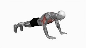 Side to side push up fitness exercise workout animation male muscle highlight demonstration at 4K resolution 60 fps crisp quality for websites, apps, blogs, social media etc.