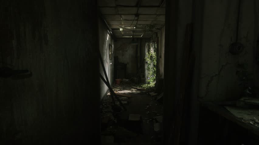 Corridor, Rubble, Abandoned House in the Forest 3D Animations Rendering CGI 4K Royalty-Free Stock Footage #1100875473